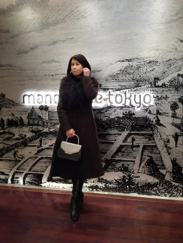 こんな感じで出かけました。プリンセスラインのコートとワンハンドルのバッグは夜のお出かけの定番