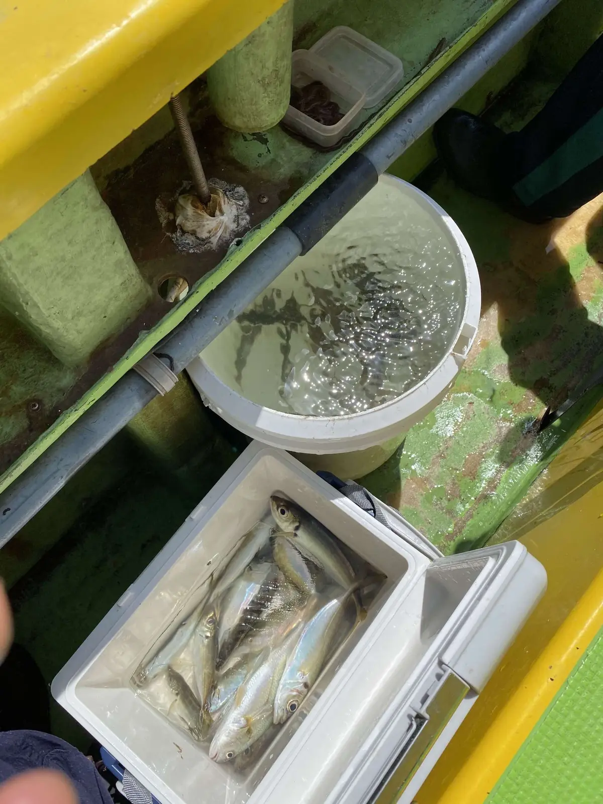 休日の楽しみ方〜趣味の時間〜の画像_3