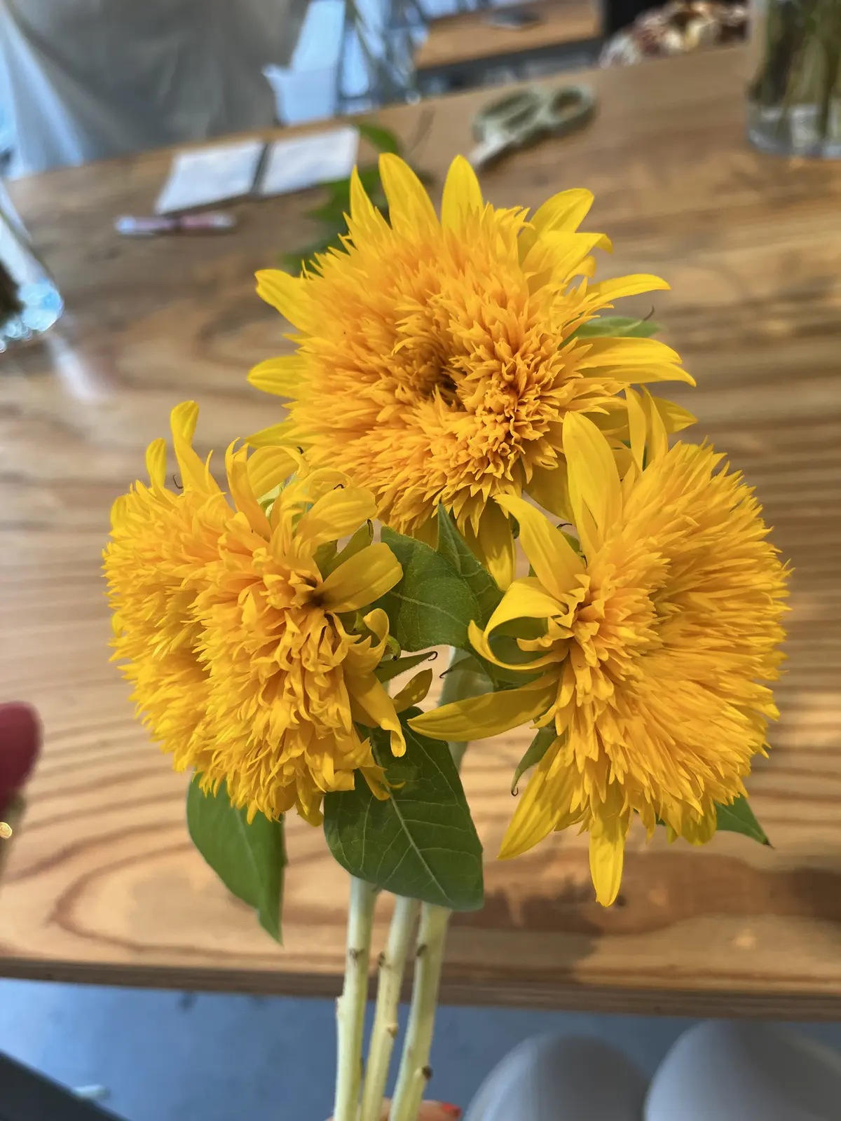 8月が終わりますの画像_3