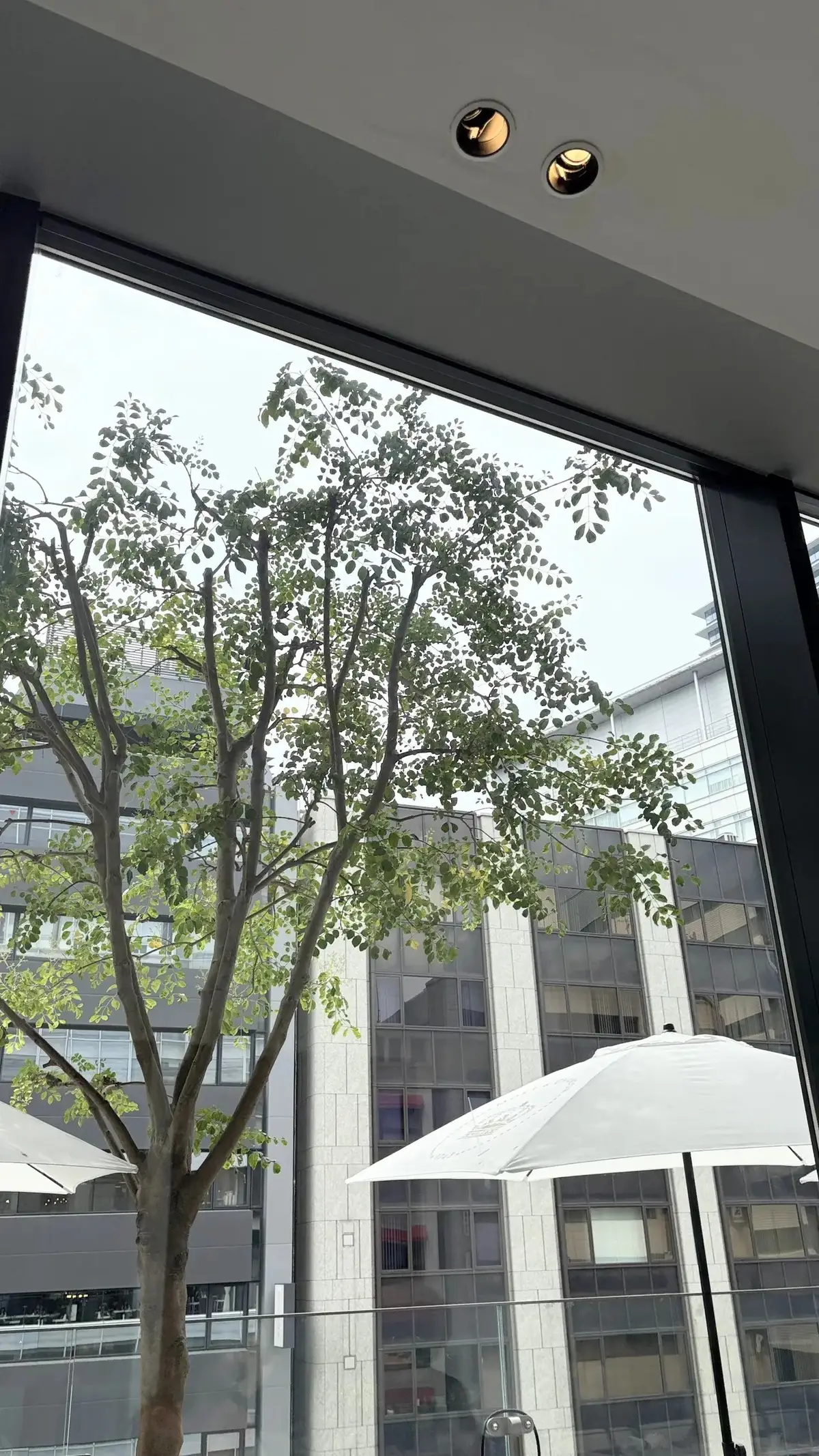 マーサブランチギンザテラス