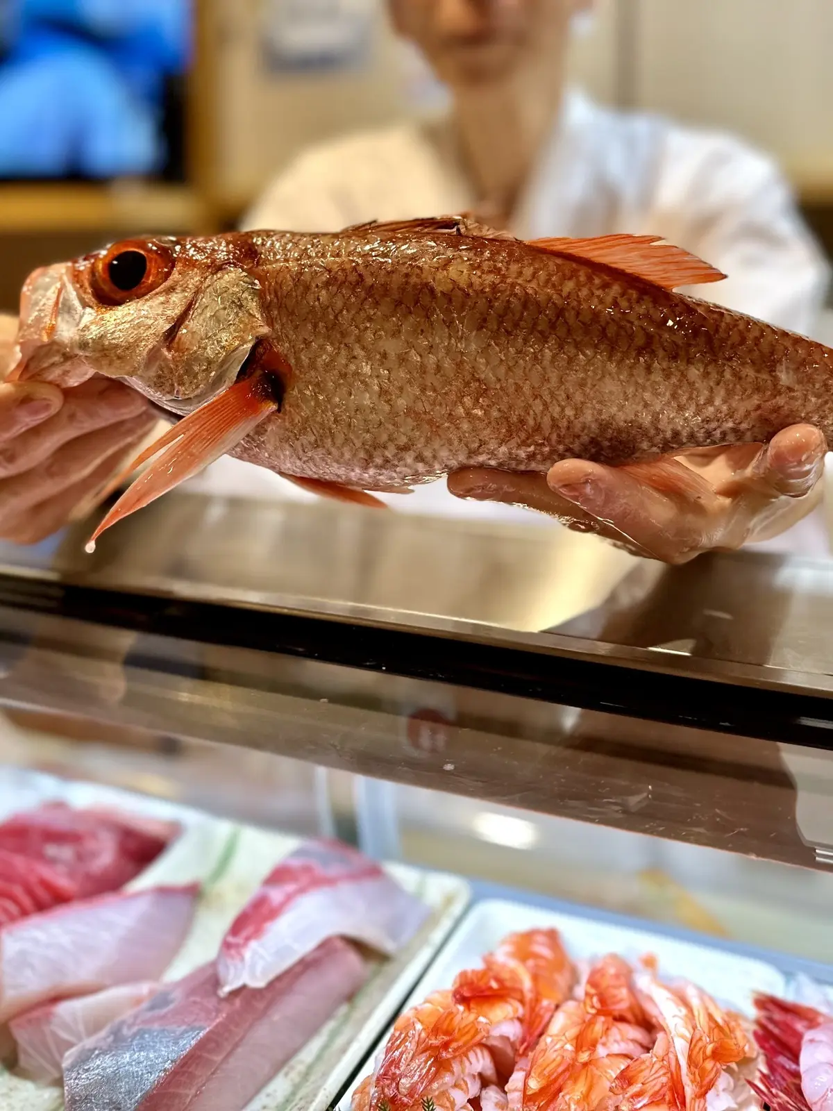 佐渡島旅行〜豊かな自然と歴史に触れる旅①の画像_6