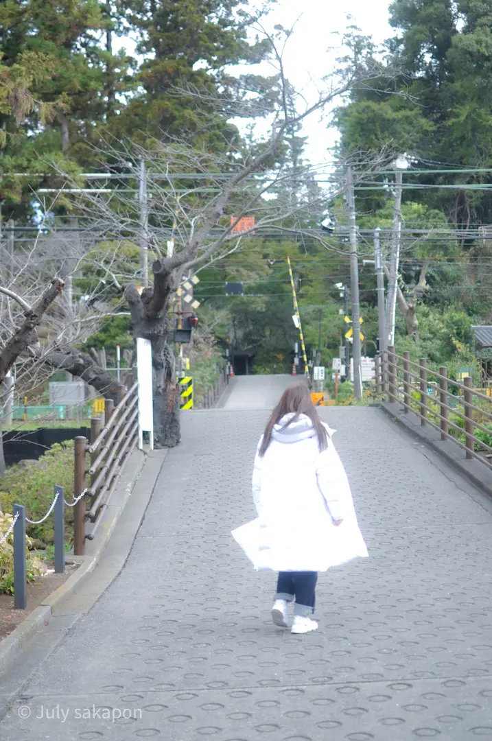 【さかぽんの履歴書】⑩偏愛デニム❤️の画像_9