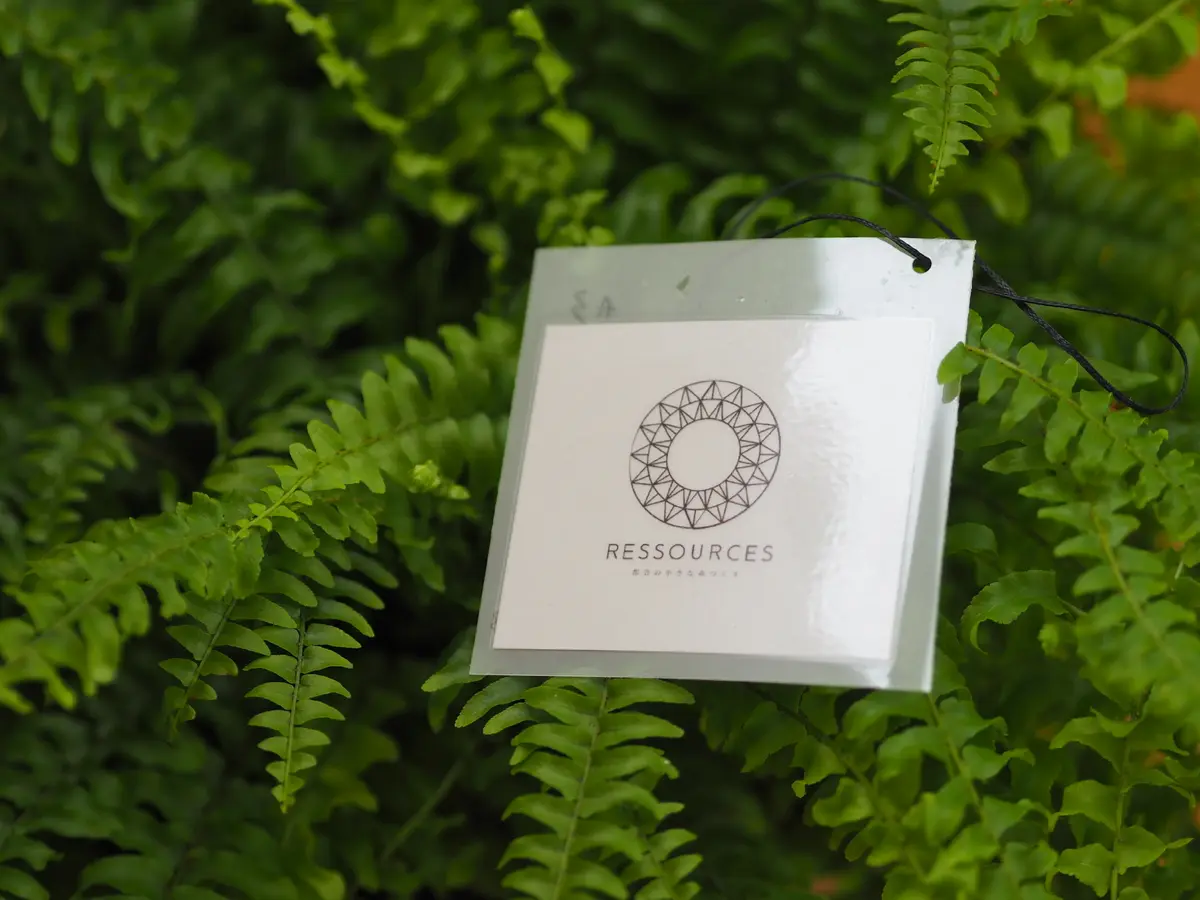 リモートショッピングで植物を買いましたの画像_4