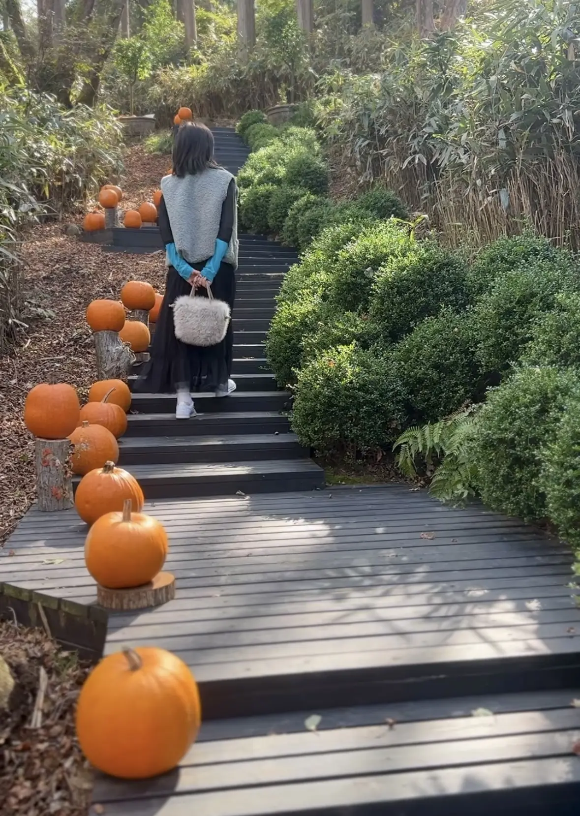 【ニコライバーグマン箱根ガーデンズ】大自の画像_8