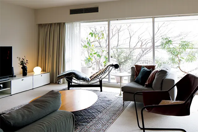 テラスに置いた鉢植えの観葉植物