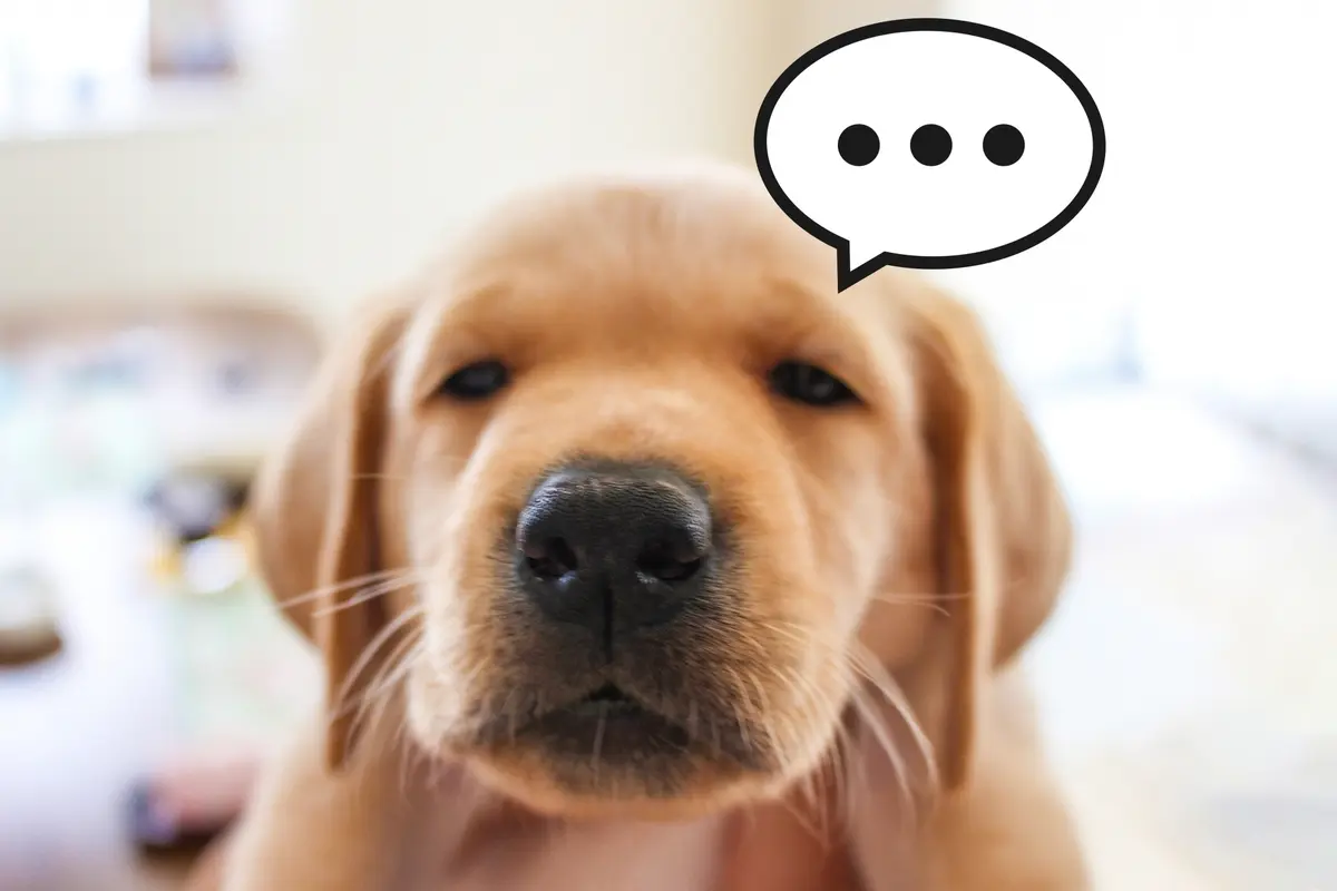 50代女性のホンネ：私の隣の”イタイ人”の画像_2