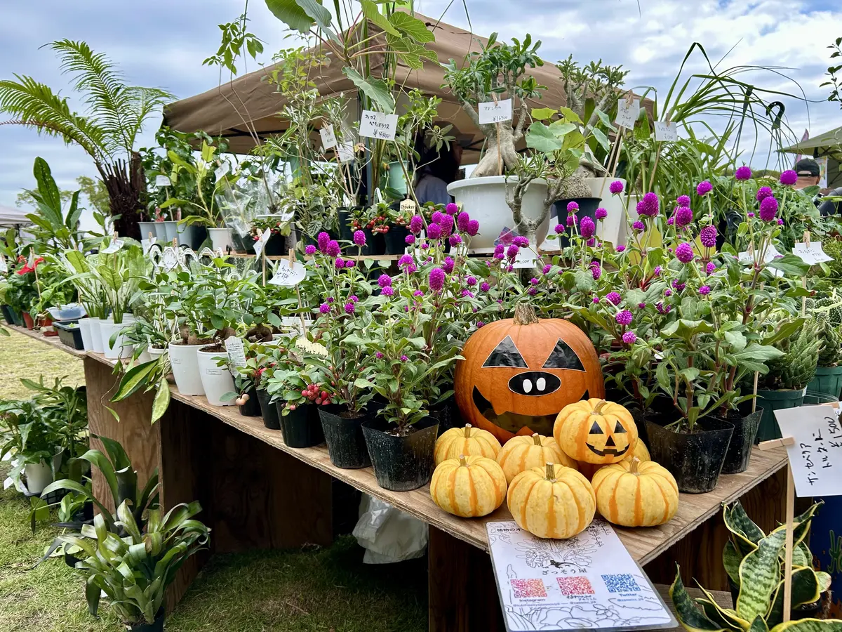 秋散歩は山下公園グリーンイベントへの画像_5