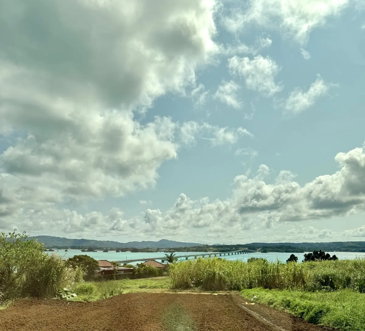22年ぶりの夫婦沖縄2人旅✈️ 第2弾！の画像_16