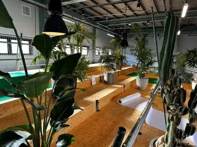 週末の南青山散歩でまったりコーヒータイムの画像_7