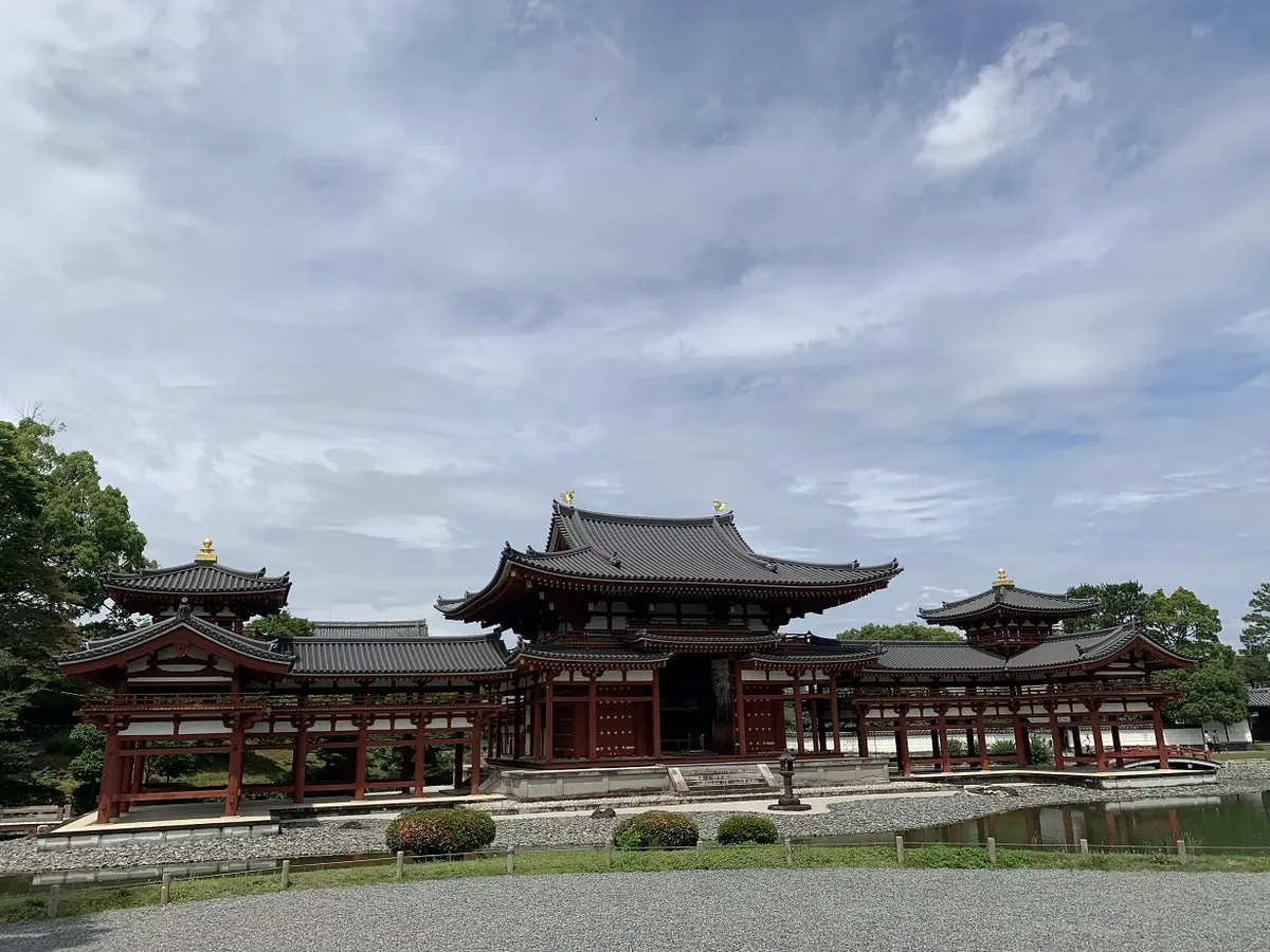 艶やかな紫陽花に癒されて。の画像_1