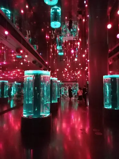 海の世界のお花見? @マクセルアクアパーの画像_3