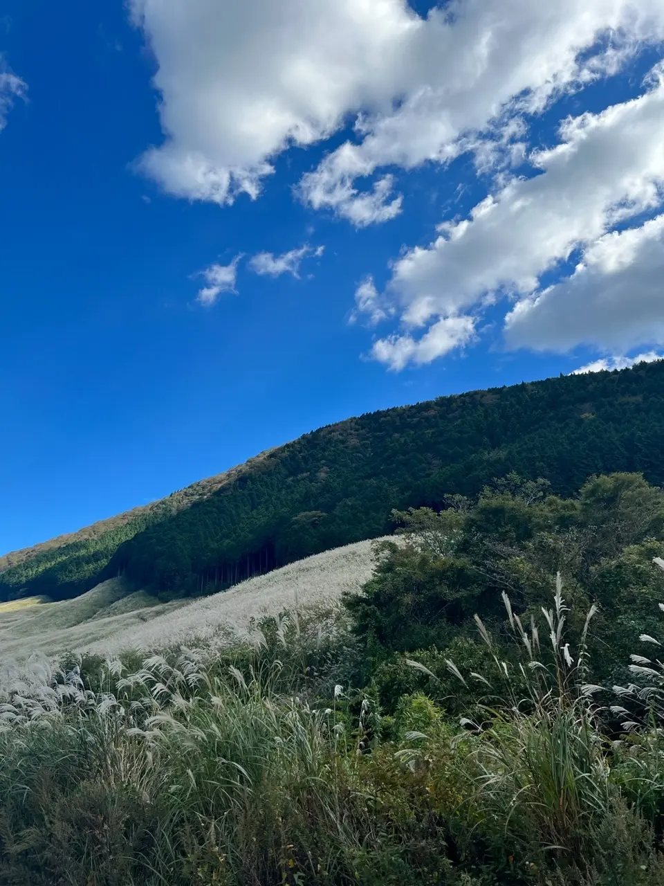 箱根ガラスの森美術館☆秋を探しにの画像_1