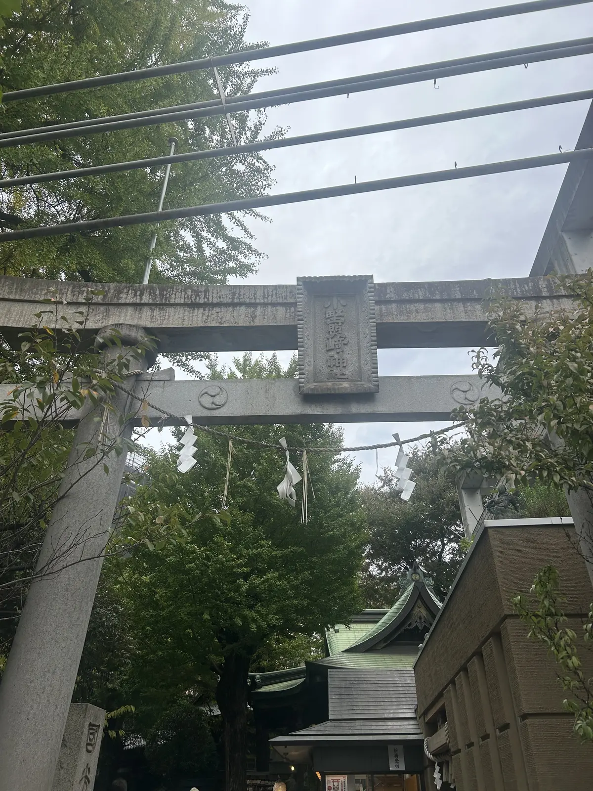 小野照崎神社　入谷
