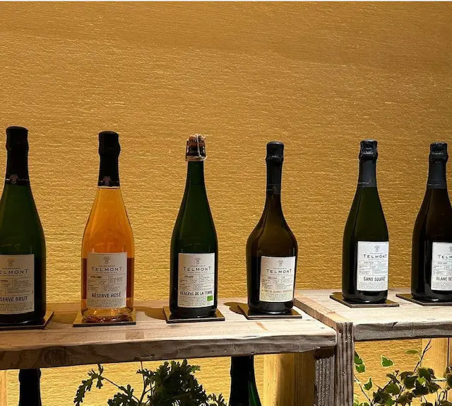 いまもっともサスティナビリティなシャンパの画像_3