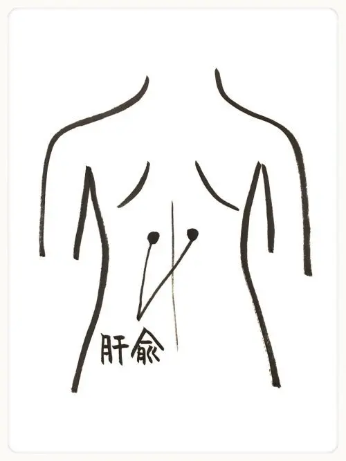 OurAge×Webエクラ 肝臓の疲れ　ツボ 肝兪（かんゆ）