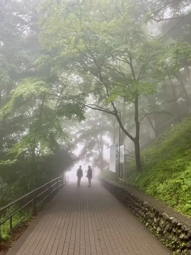 霧雨の高尾山へ