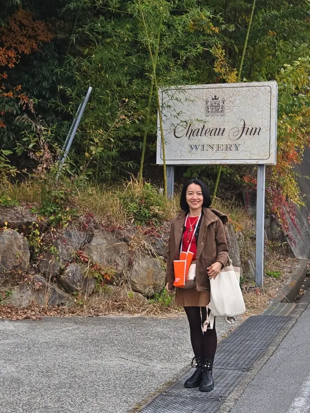 コーディネートで振り返る11月～旅も日常の画像_5