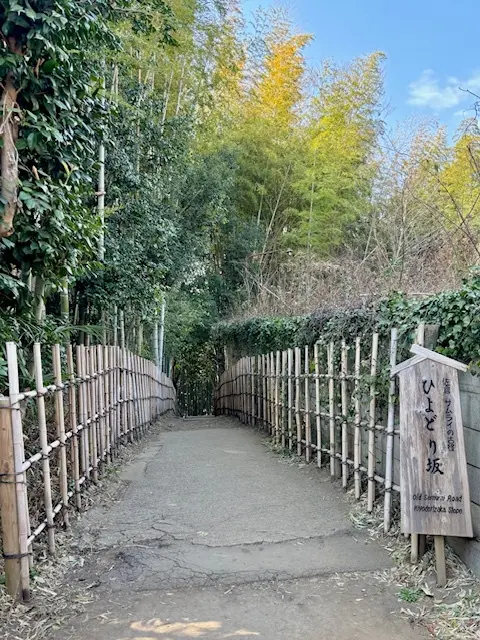 素敵なカフェ＆竹林に囲まれたひよどり坂への画像_6