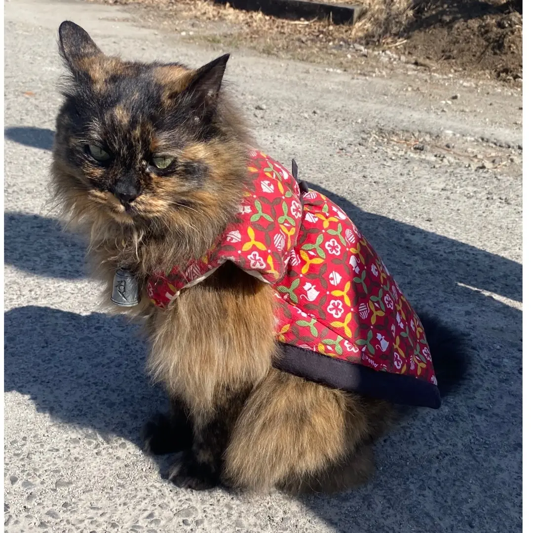 五つ星源泉宿の湯でリラックスの画像_3