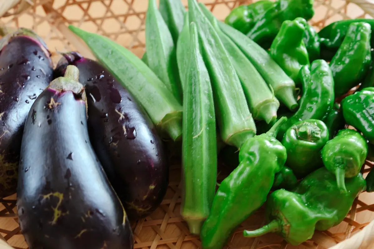 新しい季節♪の画像_1