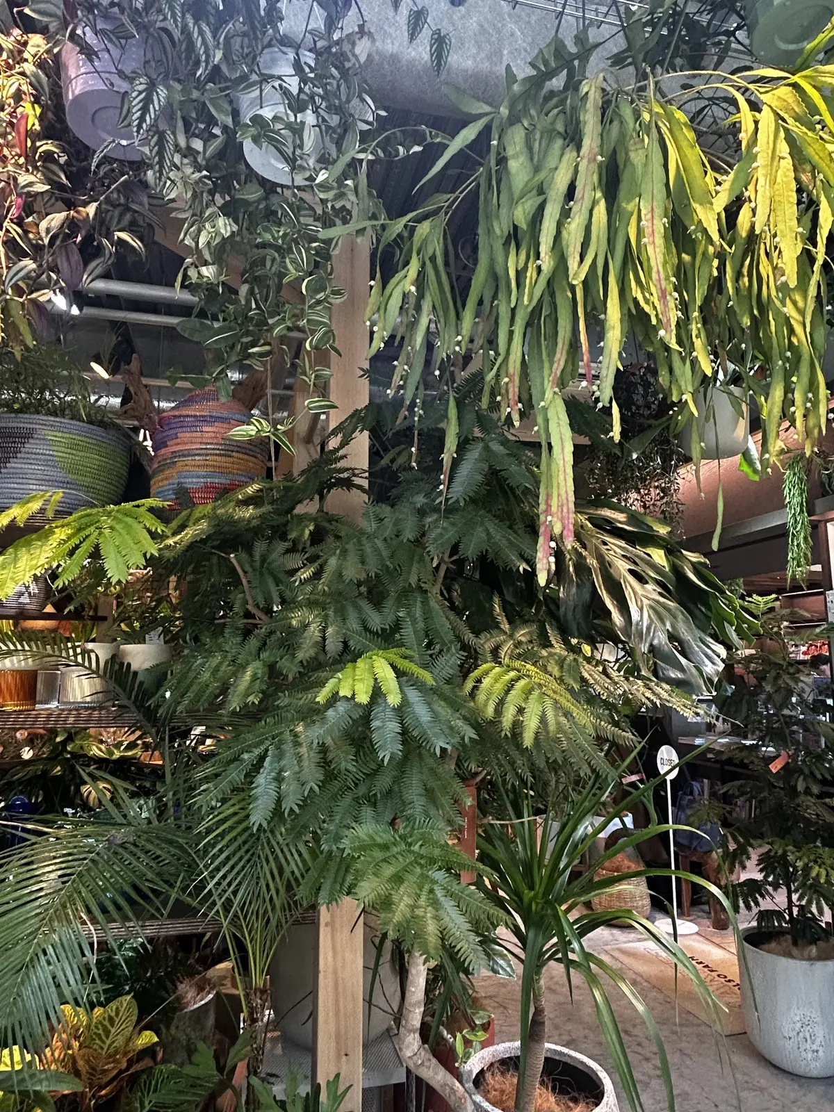 湘南 T-SITE  蔦屋書店　solso farm market　