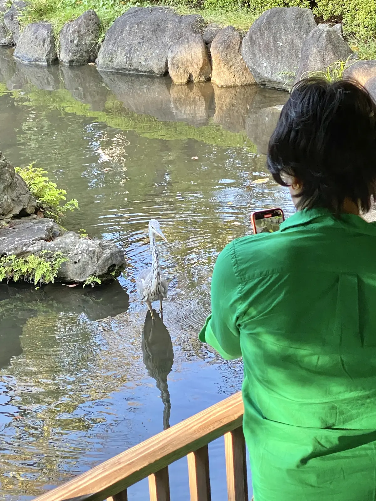 ミキティとサギ