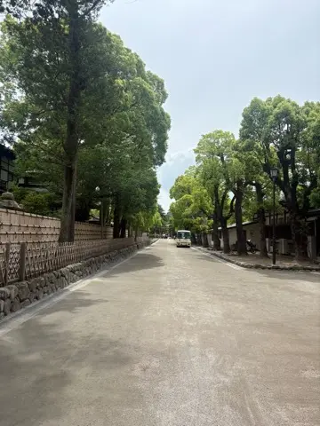 新緑眩しい鎌倉ハイキングに出掛けませんかの画像_4