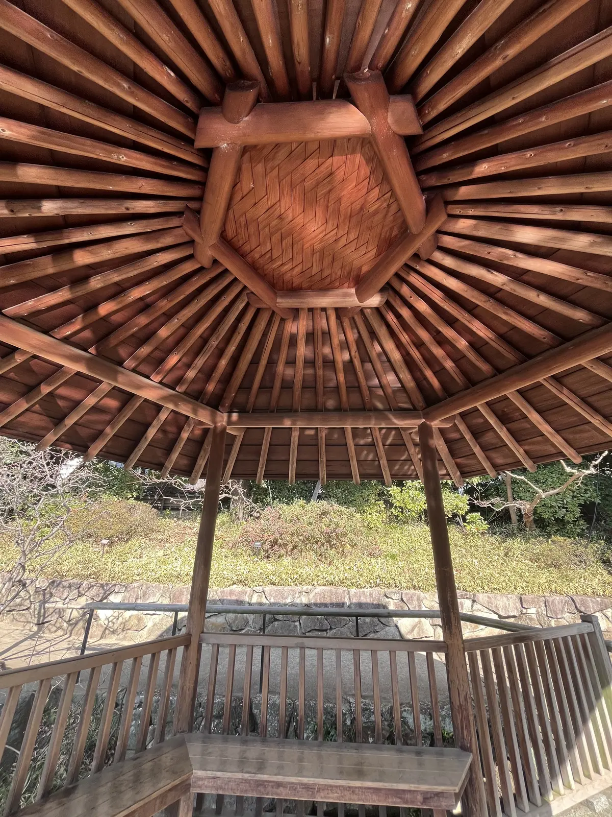 らくらくスニーカーで目白界隈1人散歩の画像_11