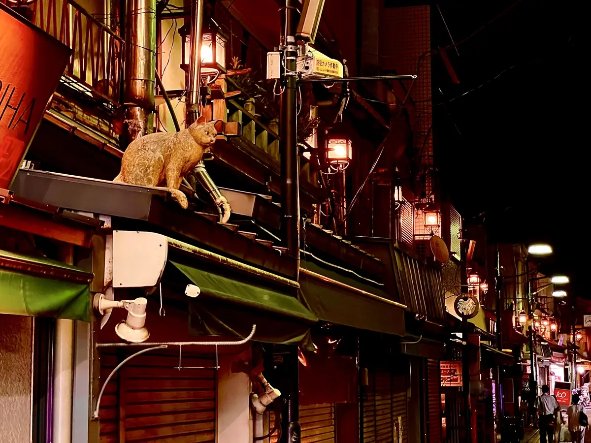 昭和レトロでいい感じ♡「谷中銀座商店街」の画像_20