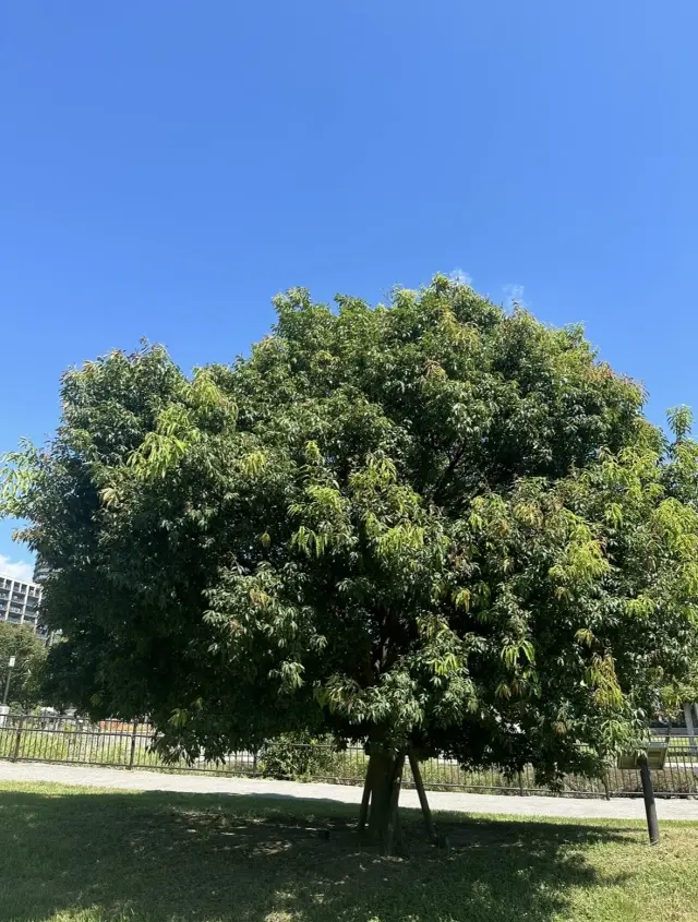 自然を楽しむ私のライフスタイル。の画像_5