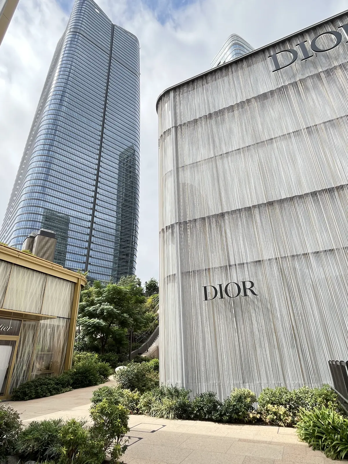 麻布台ヒルズで再会ランチの画像_2