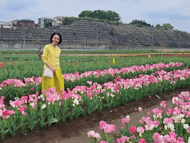 遅れてやってきたイエローブームの画像_12