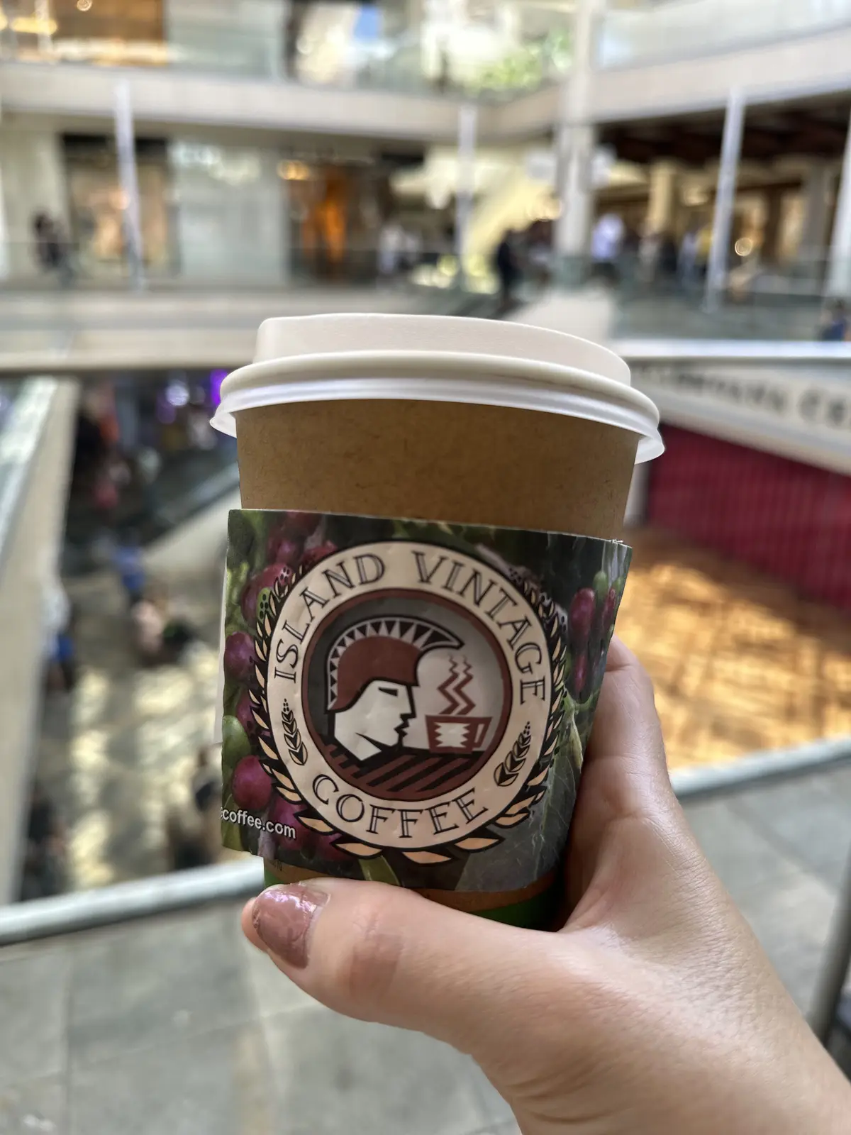 Hawaiiオアフ島へ家族旅行の画像_4