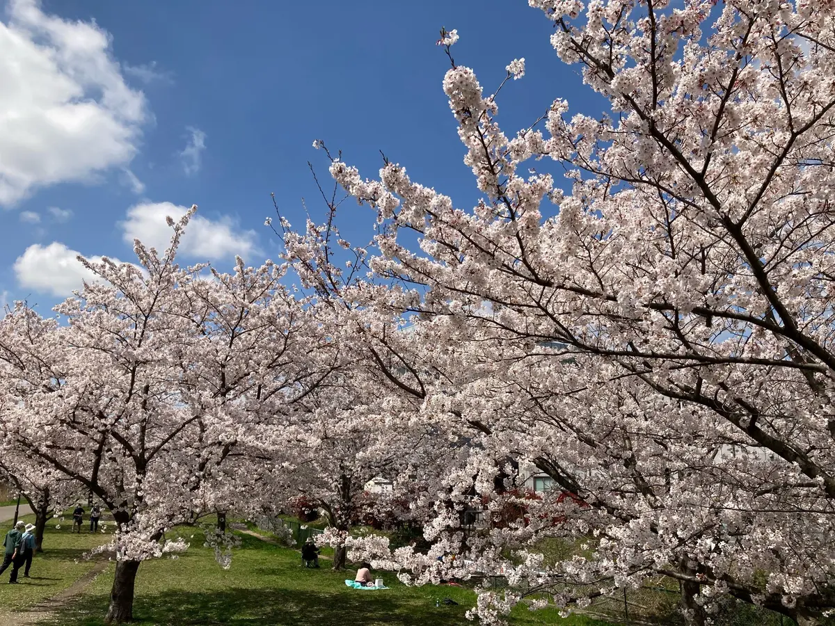 春の揺れスカートの画像_6
