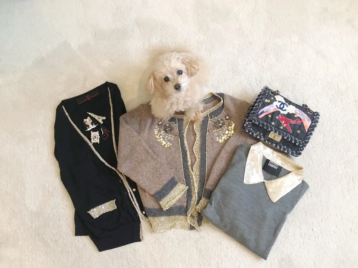 長く愛してるMy ワードローブ♡の画像_11