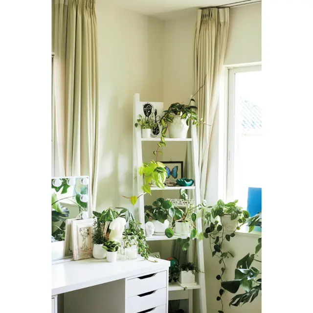 部屋の家具に合わせ鉢も白で統一