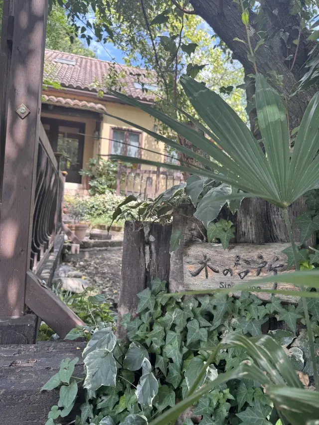 素材をいかしたお料理が楽しめる木の台所