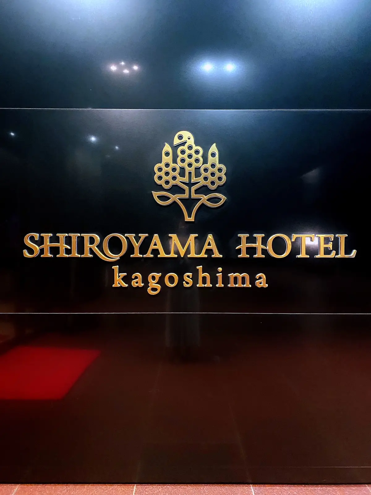 九州旅行へ　〜福岡・鹿児島編〜の画像_11