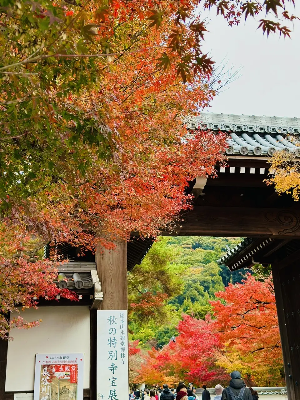 永観堂［禅林寺］