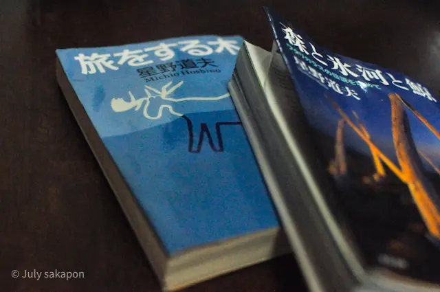 【さかぽんの履歴書】⑯額を形成する本の存の画像_3