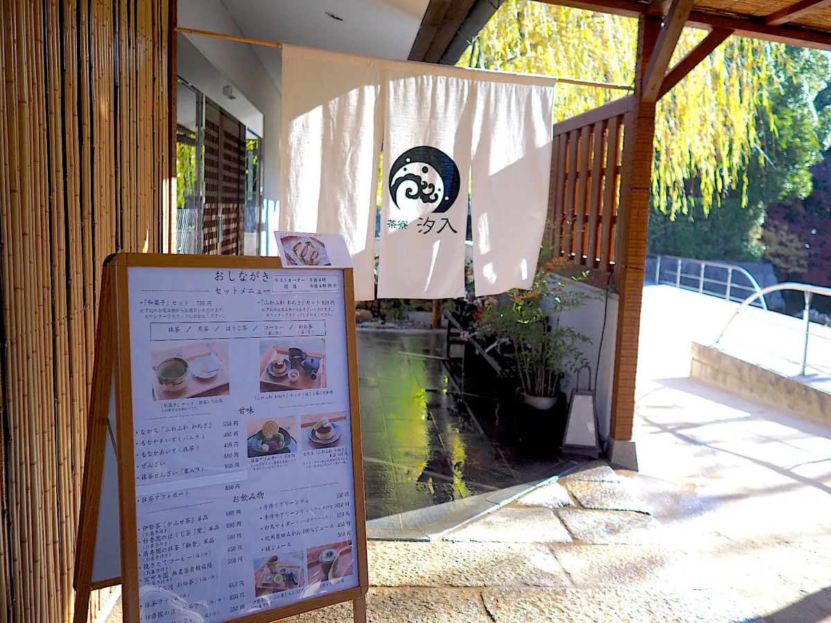 紅葉と雪吊りがライトアップ！ZARAファの画像_5