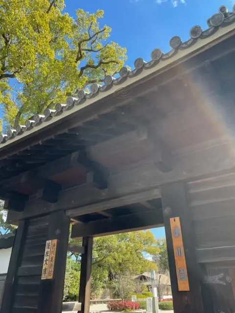 『徳川家の雛まつり』特別展の画像_2