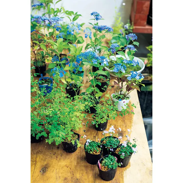 【「日帰り京都」まとめ】素敵な大人ほど“の画像_76