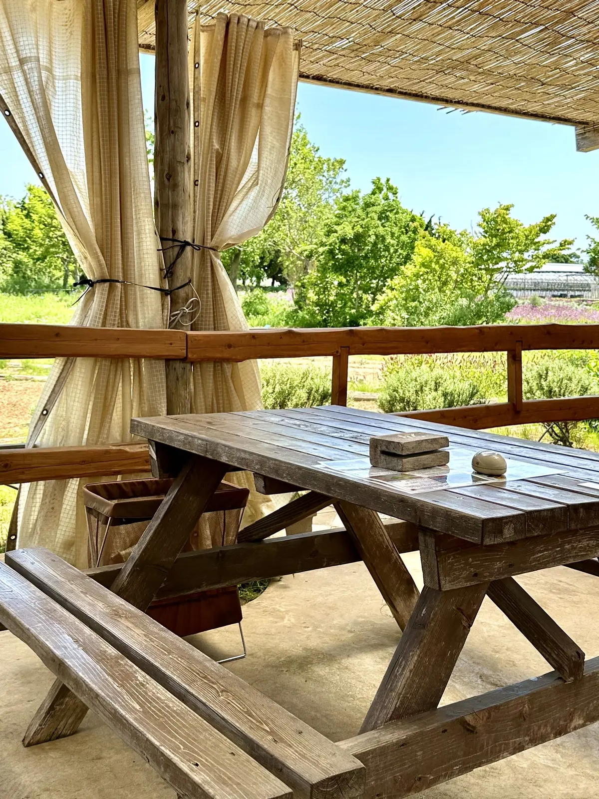 ハーブガーデンで過ごす癒しの時間♡千葉にの画像_10