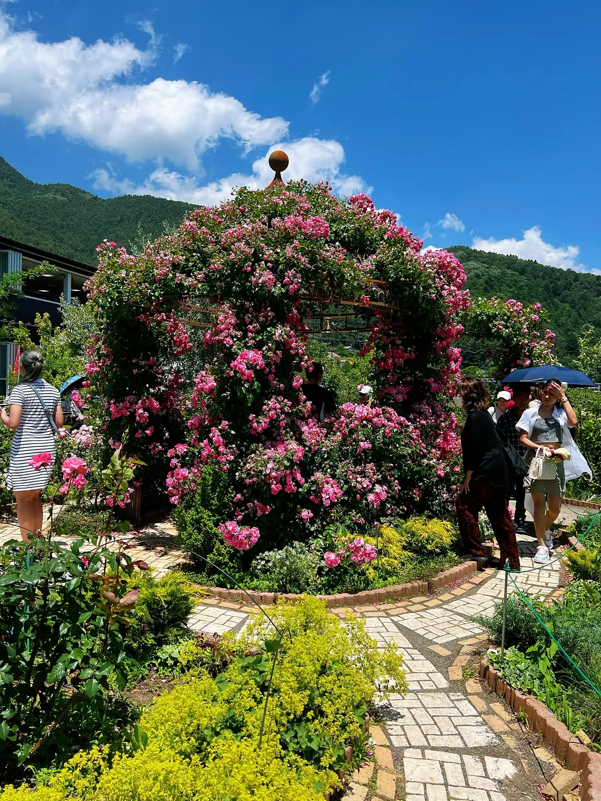 週末旅行観光スポット①の画像_6