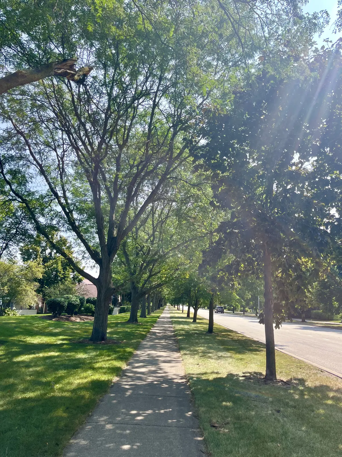 旅するように暮らす②ゆるランinシカゴの画像_7