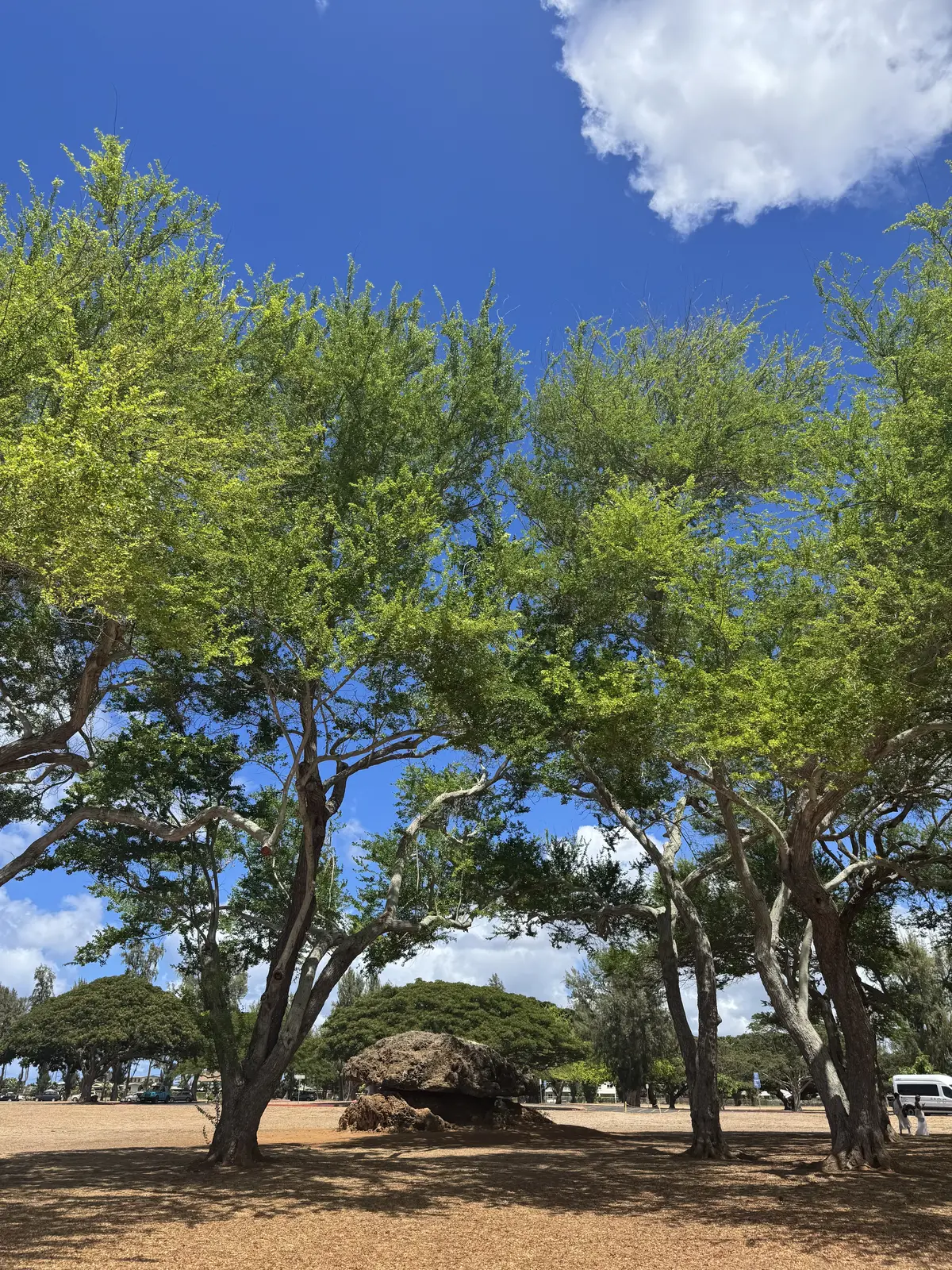 約30年ぶりの女子旅 in HAWAIIの画像_7