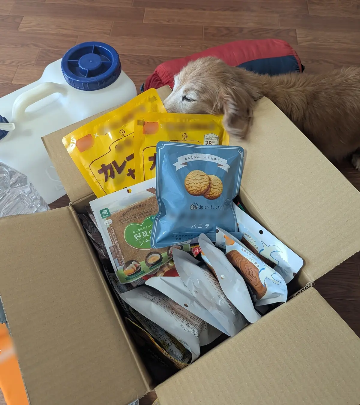 30年目の1/17は、静かに過ごすの画像_2