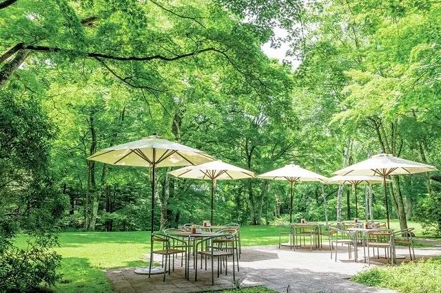 野鳥やリスがたわむれる閑静な軽井沢らしい緑の中でティータイムを　