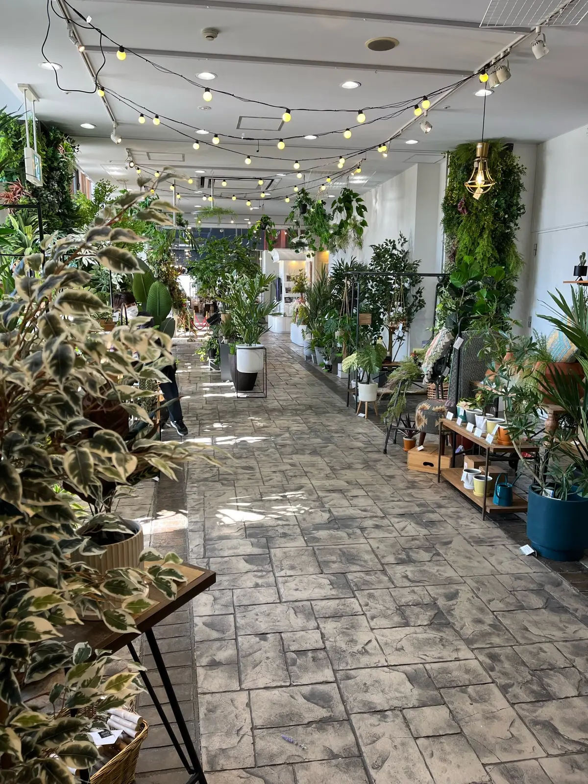 【横浜探宝】Part3. 花とインテリアの画像_3